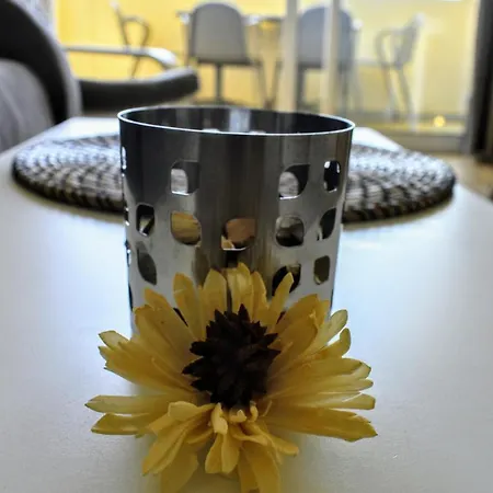 公寓 Playa Flores Apartamento I 托雷莫利诺斯